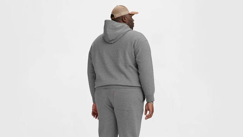 Levi's® Hoodie Sweatshirt (Big)