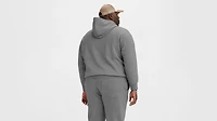 Levi's® Hoodie Sweatshirt (Big)