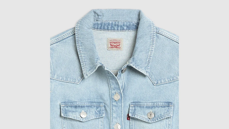Flynn Western Dress