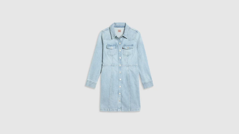 Flynn Western Dress