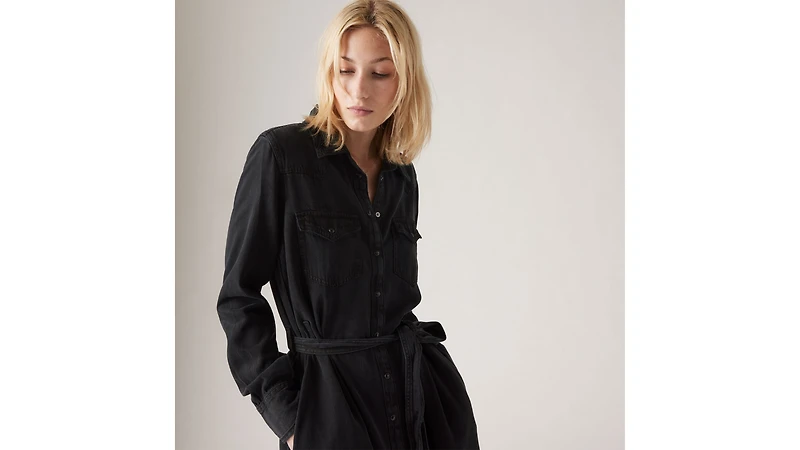 Quinney Denim Dress