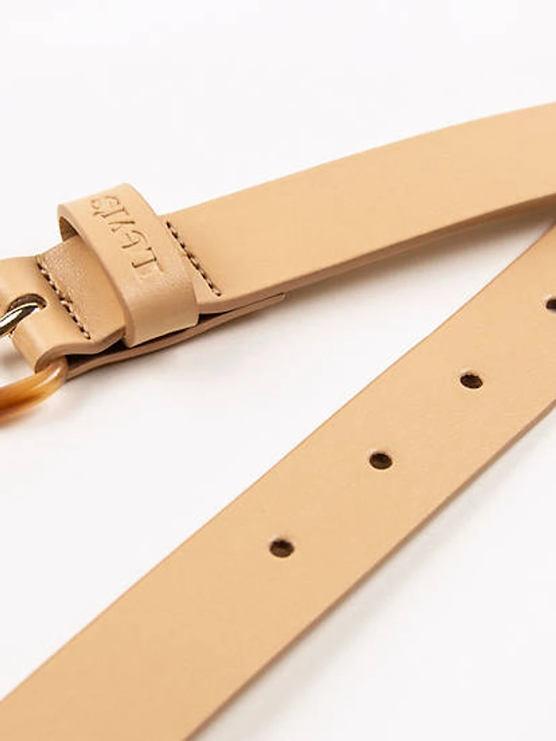 Shell Belt