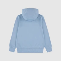 Batwing Pullover Hoodie