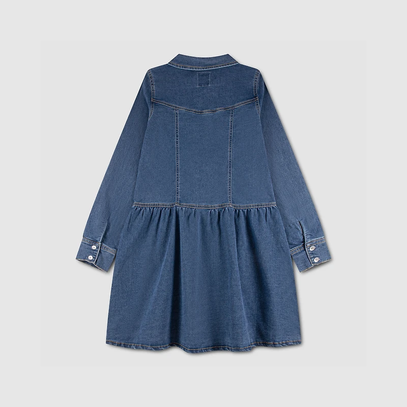 Long Sleeve Drop Waist Dress (Girls 7-16)