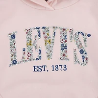 Levis Graphic Pullover Hoodie Little Girls 4-6