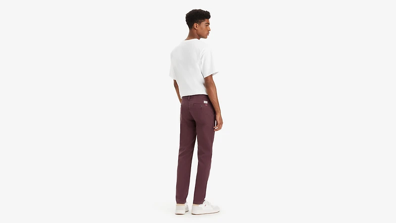 XX Chino Standard Taper Fit Men's Pants