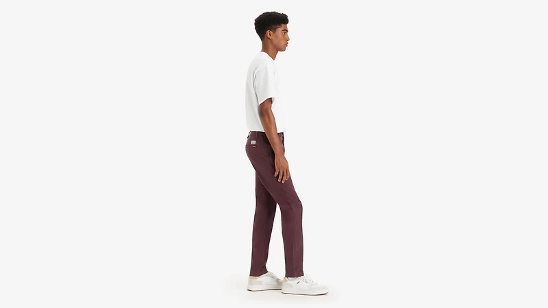XX Chino Standard Taper Fit Men's Pants