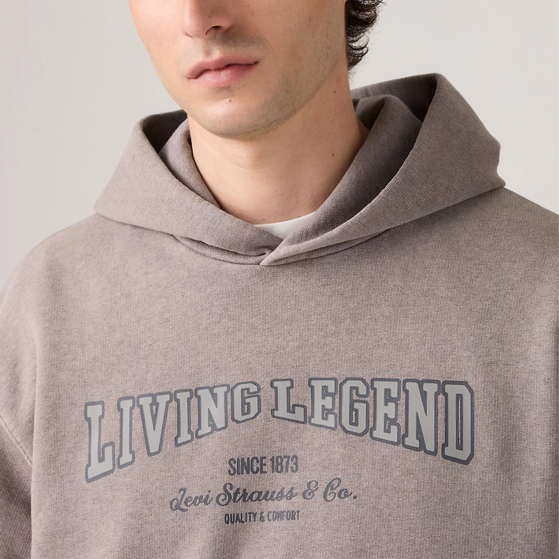 Two Horse Boxy Hoodie Sweatshirt