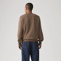 Standard Fit Graphic Crewneck Sweatshirt