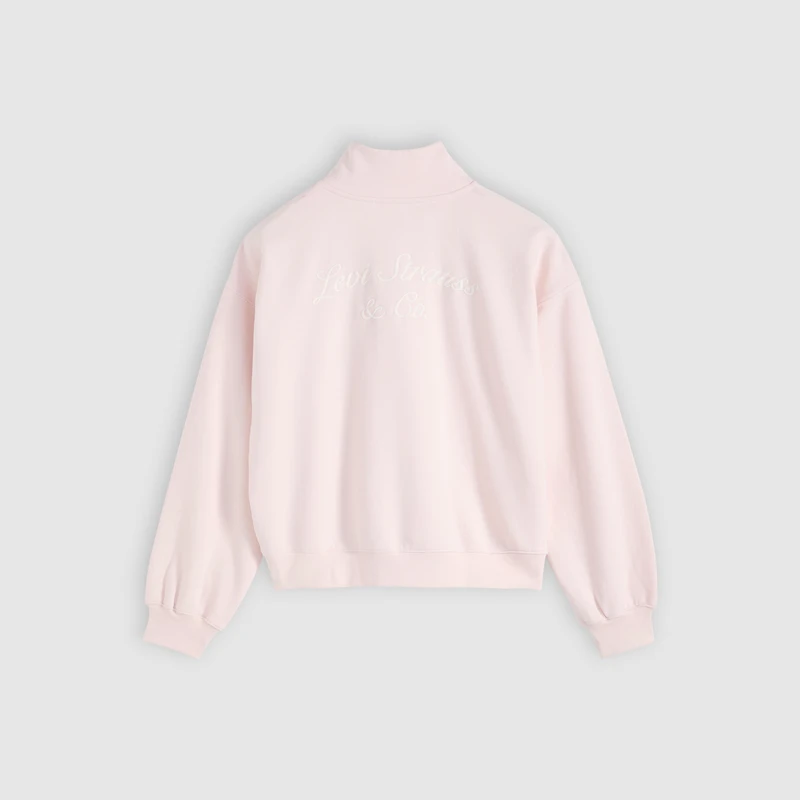 Graphic Logo Vintage Boxy Quarter Zip Sweatshirt