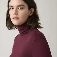 Dreamy Turtleneck Top