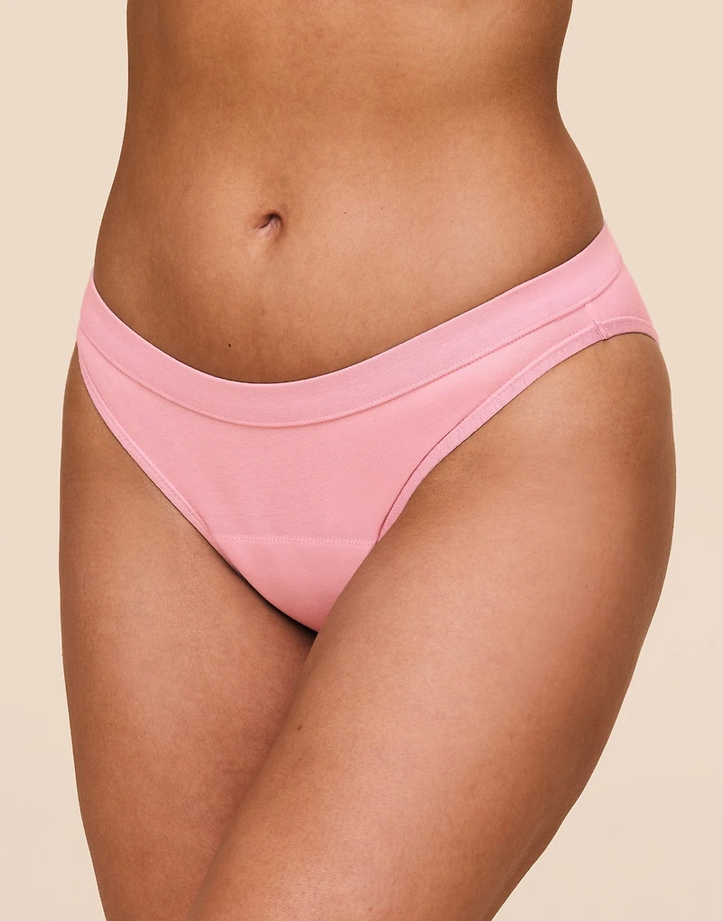 Period Proof Brief Panty