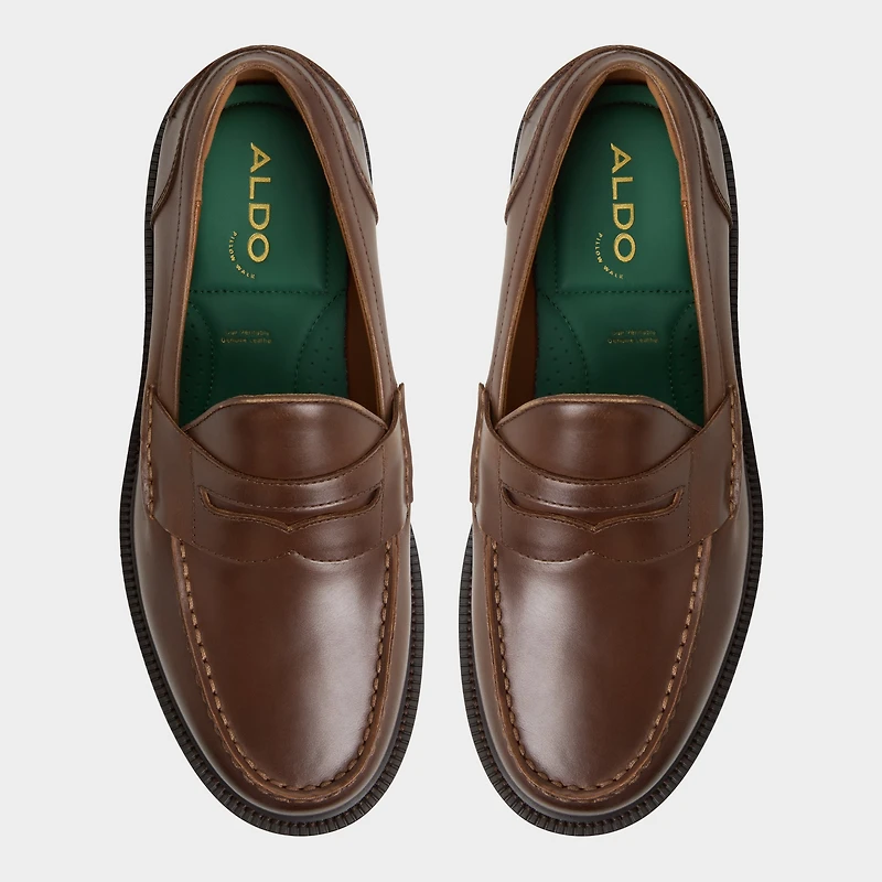 Buckley Autre Marron Hommes Mocassins et flâneurs | ALDO Canada