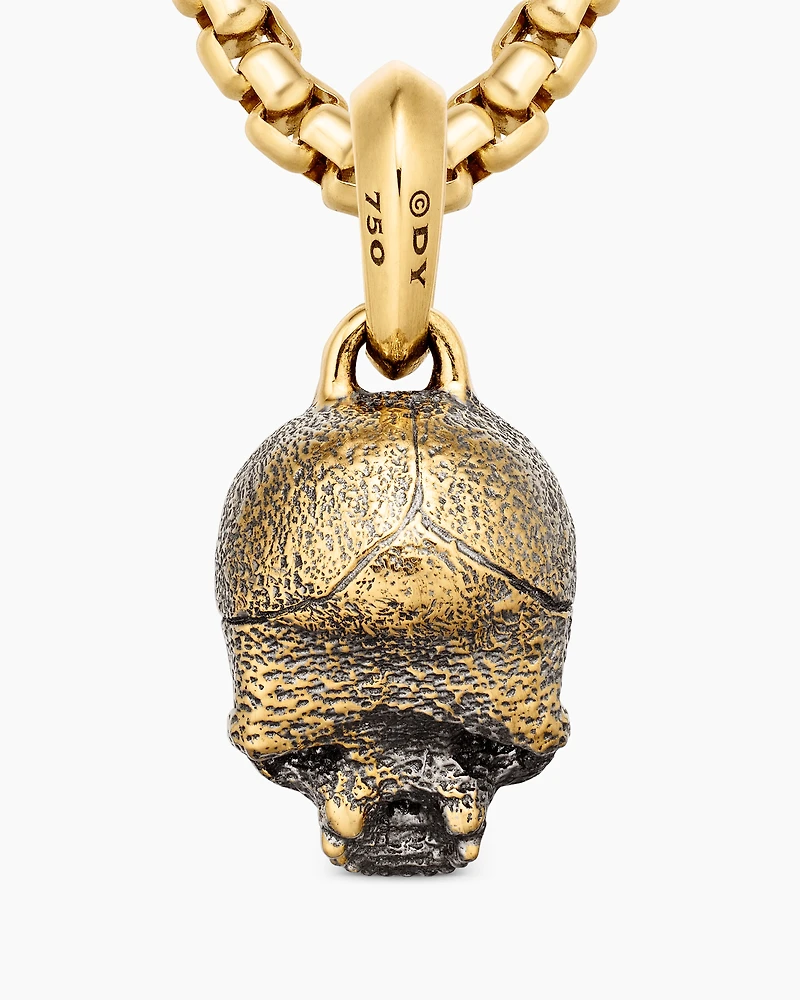 Memento Mori Skull Amulet in 18K Yellow Gold