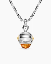 Renaissance® Amulet in Sterling Silver with 14K Yellow Gold, Madeira Citrine, Tanzanite and Rhodolite Garnet, 19.8mm