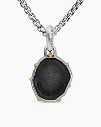 Pisces Amulet in Sterling Silver with 18K Yellow Gold, 33mm