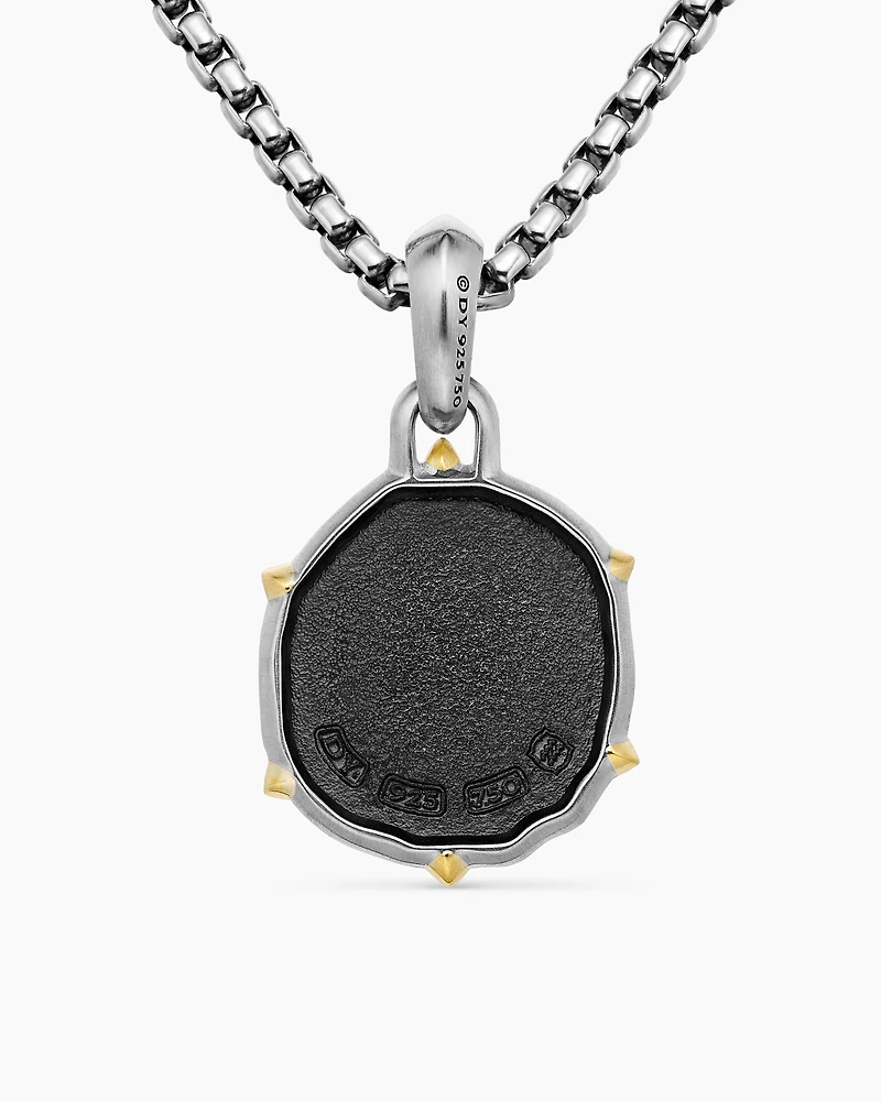 Aquarius Amulet in Sterling Silver with 18K Yellow Gold, 33mm