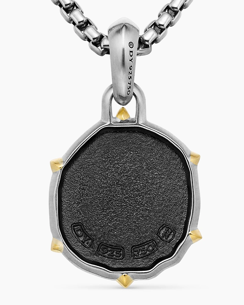 Aquarius Amulet in Sterling Silver with 18K Yellow Gold, 33mm