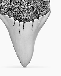 Shark Tooth Amulet in Sterling Silver, 25.8mm
