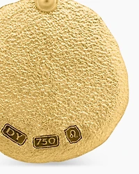 Leo Amulet in 18K Yellow Gold, 17mm