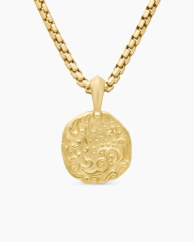 Aquarius Amulet in 18K Yellow Gold, 27mm