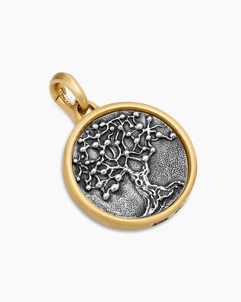 Life and Death Duality Amulet in Sterling Silver with 18K Yellow Gold, 24mm
