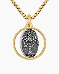 Life and Death Duality Amulet in Sterling Silver with 18K Yellow Gold, 24mm