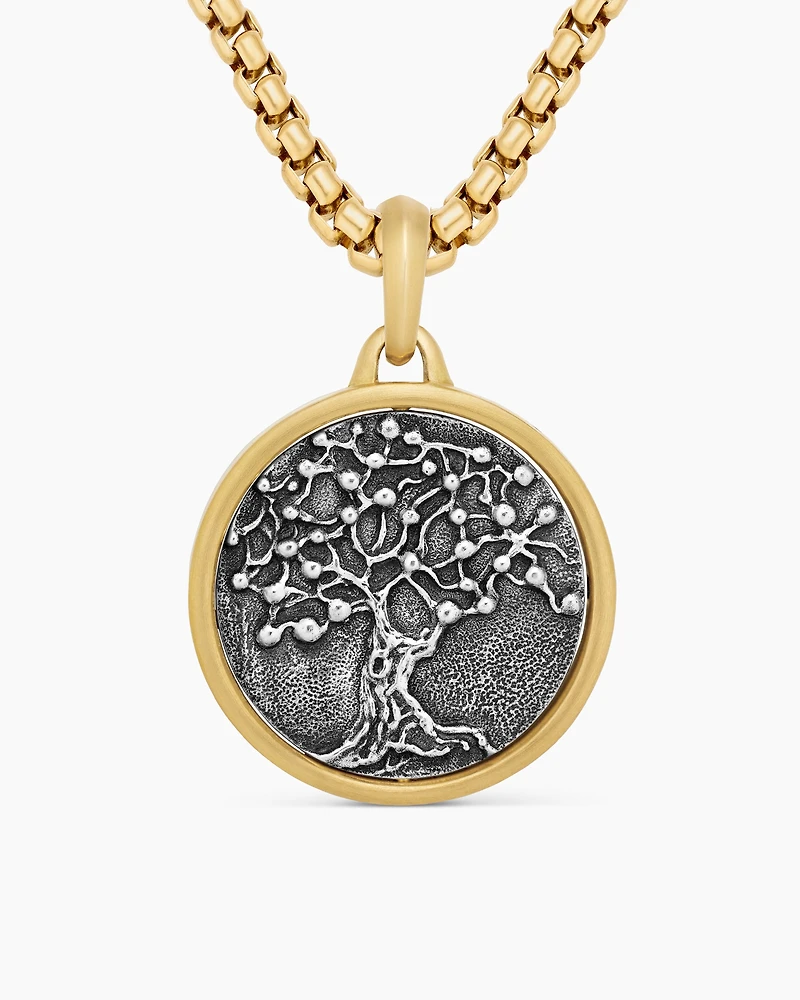 Life and Death Duality Amulet in Sterling Silver with 18K Yellow Gold, 24mm