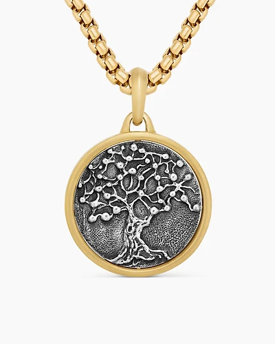 Life and Death Duality Amulet in Sterling Silver with 18K Yellow Gold, 30mm