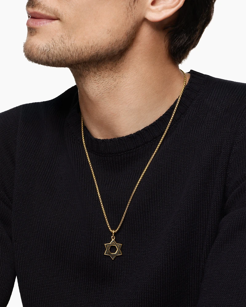 Star of David Amulet in 18K Yellow Gold with Forged Carbon, 25mm