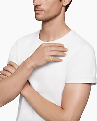 Petrvs® Lion Pinky Ring in 18K Yellow Gold