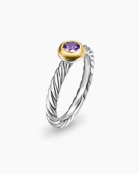 Petite Cable Ring Sterling Silver with 14K Yellow Gold and Amethyst, 2.8mm