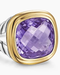 Albion® Ring Sterling Silver with 18K Yellow Gold and Amethyst