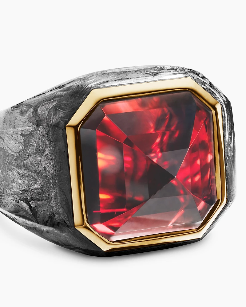 Hexagonal Signet Ring in 18K Yellow Gold with Forged Carbon and Garnet, 17.7mm