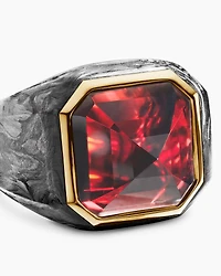 Hexagonal Signet Ring in 18K Yellow Gold with Forged Carbon and Garnet, 17.7mm