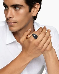 Chevron Signet Ring Black Titanium, 18mm
