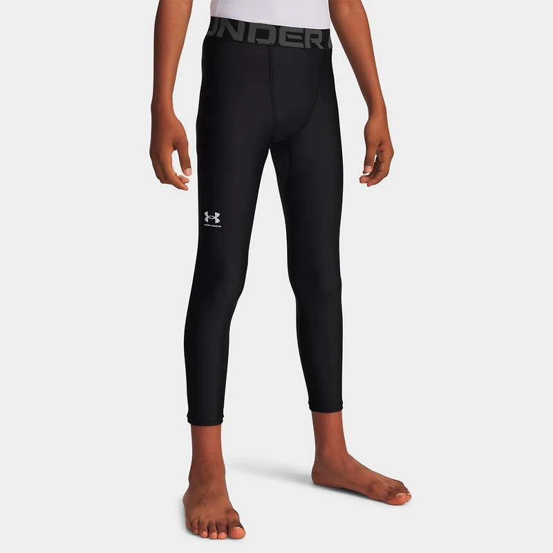 Boys' Big Kids' Under Armour HeatGear Leggings