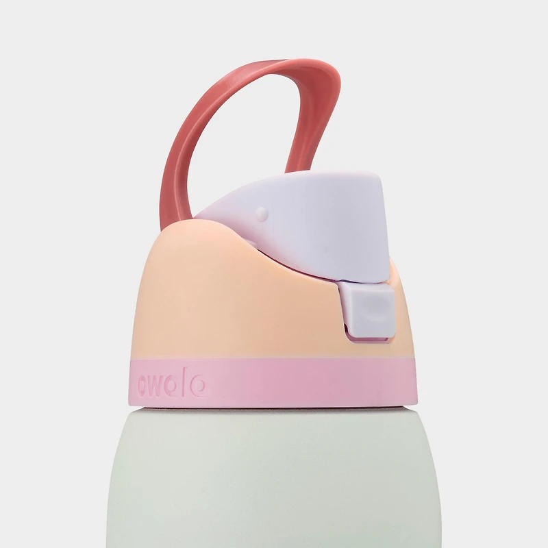Owala FreeSip Water Bottle ( oz
