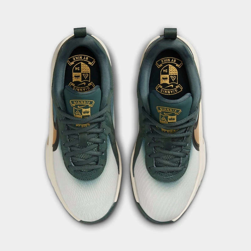 Big Kids' Nike Giannis Freak 6 Basketball Shoes