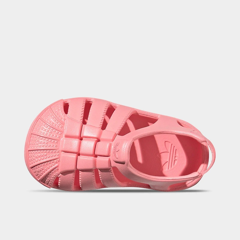 Infant adidas Originals Superstar Sandals