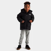 Kids' Toddler The North Face Down Fleece-Lined Parka