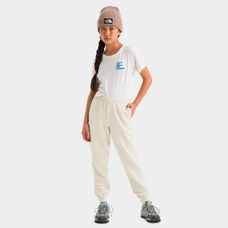 Big Kids' The North Face Evolution Simple Dome Sweatpants