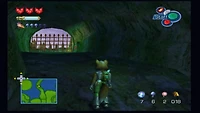 Star Fox Adventures - GameCube