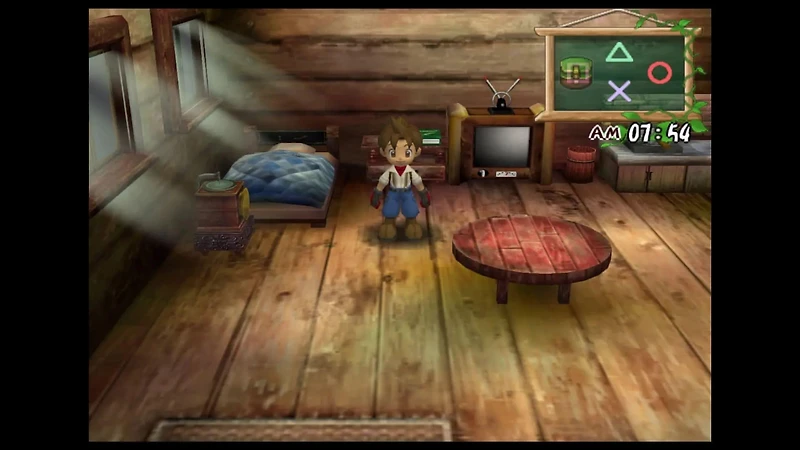 Harvest Moon: A Wonderful Life - GameCube