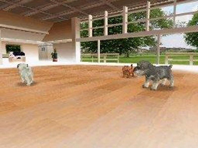 Nintendogs Lab and Friends