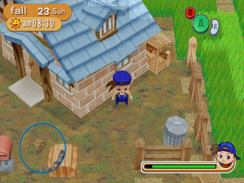 Harvest Moon: Magic Melody - GameCube