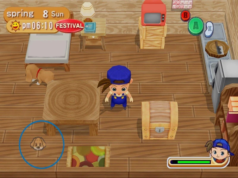 Harvest Moon: Magic Melody - GameCube