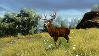 Cabela's Outdoor Adventure - Xbox 360