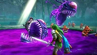 Hyrule Warriors - Nintendo Wii U
