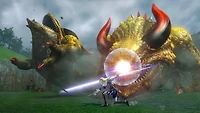 Hyrule Warriors - Nintendo Wii U